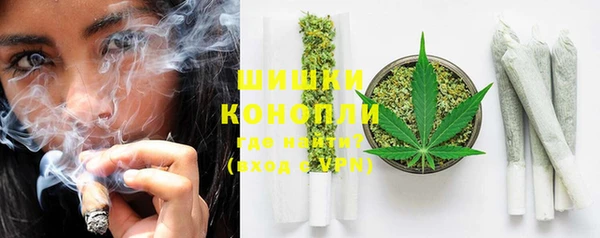 стафф Осинники