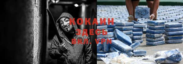 стафф Осинники
