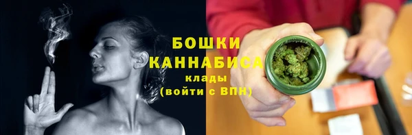 стафф Осинники
