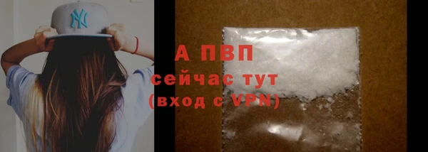 стафф Осинники