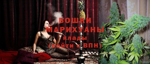 стафф Осинники