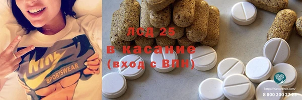 стафф Осинники
