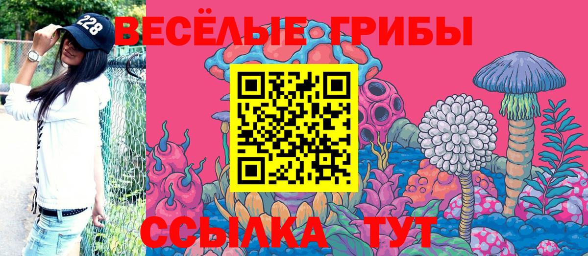 Галлюциногенные грибы прущие грибы  Вход с VPN  Благовещенск 