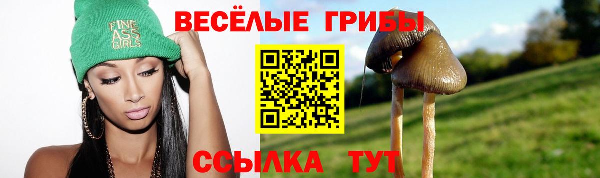 Псилоцибиновые грибы MAGIC MUSHROOMS  Псилоцибиновые грибы GOLDEN TEACHER  Благовещенск 